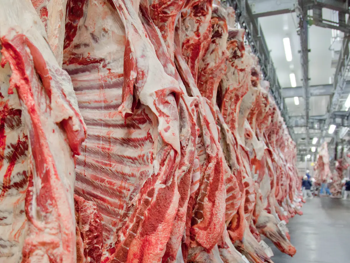 Exportações de carne bovina devem bater recorde até julho, diz consultor